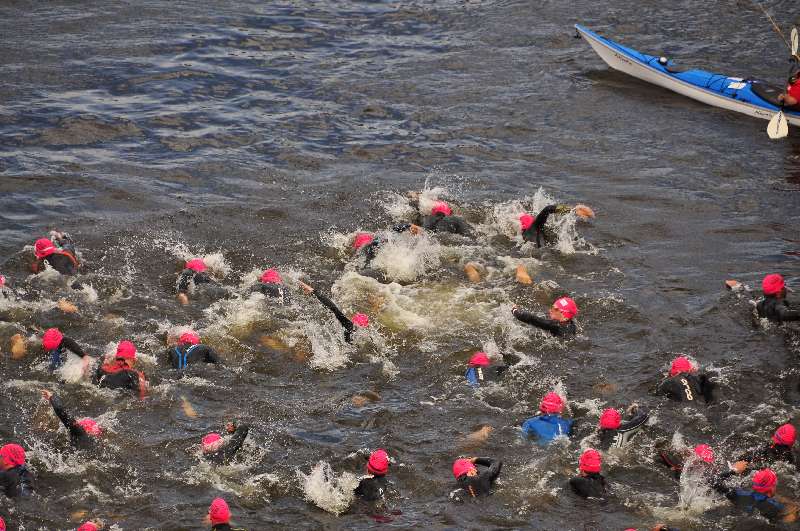 open water - zawodnicy w trakcie wyścigu