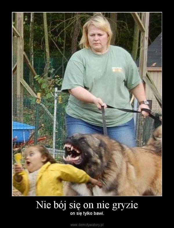 Mem pies kobieta, wściekły pies i uciekające dziecko 