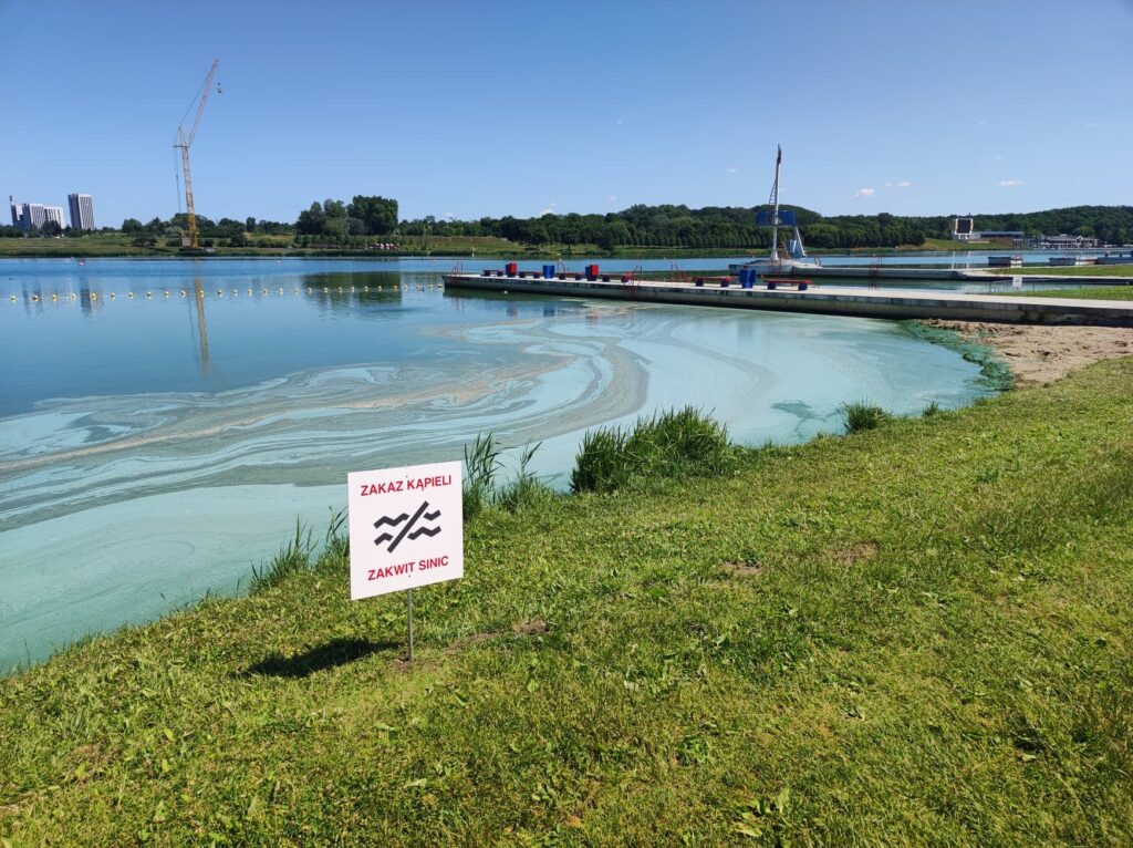 Zakaz kąpieli na Jeziorze Maltańskim zdjęcie znad brzegu jeziora z tabliczką z zakazem