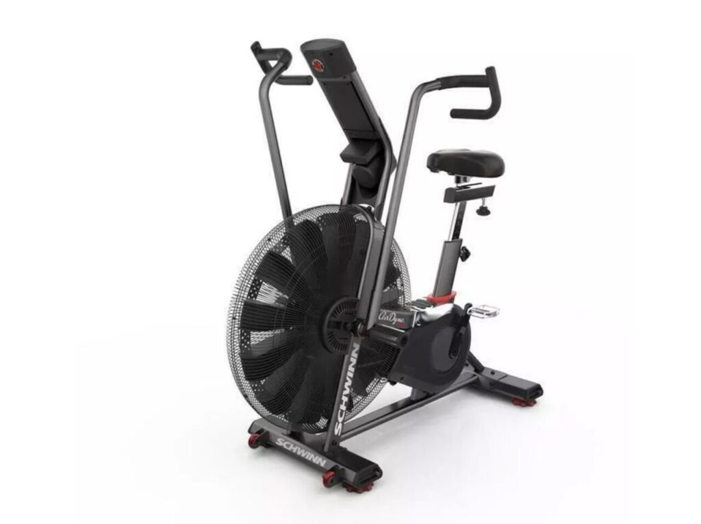 Schwinn AIRDYNE AD8