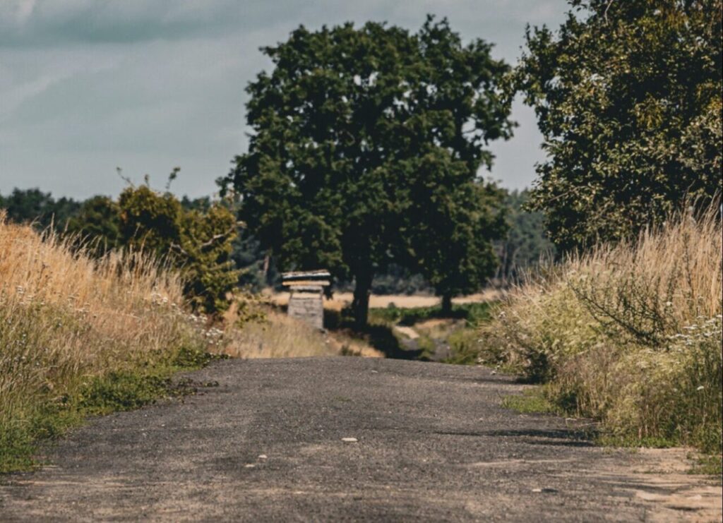 Szutrowa droga w Puszczy Noteckiej na trasie Mana Lake Adventure Gravel Race