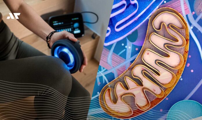 Terapia mikrokrążenia wspierająca regenerację oraz mitochondria jako źródło energii komórkowej u triathlonisty